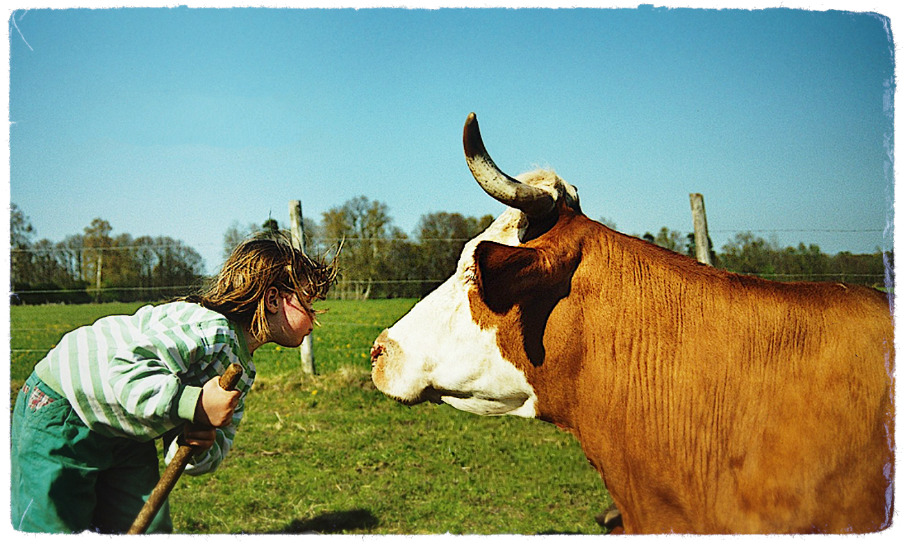 Unser Schulbauernhof: Grundschüler erleben Tiere und Natur