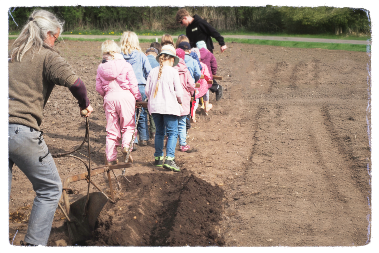 Die Kinder ziehen als Pferde den Pflug